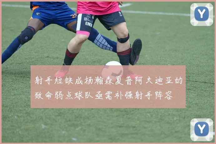 射手短缺成杨瀚森夏普阿夫迪亚的致命弱点球队亟需补强射手阵容
