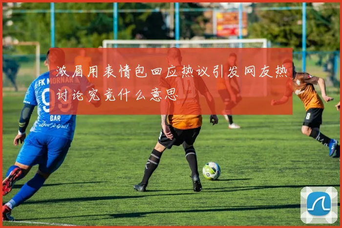 浓眉用表情包回应热议引发网友热讨论究竟什么意思