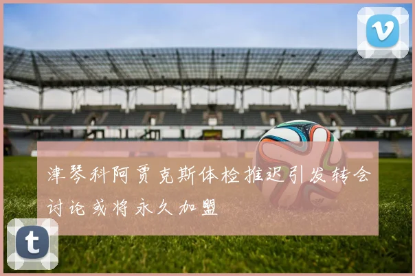 津琴科阿贾克斯体检推迟引发转会讨论或将永久加盟