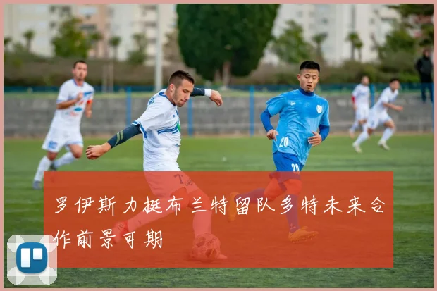罗伊斯力挺布兰特留队多特未来合作前景可期