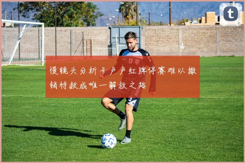慢镜头分析卡卢卢红牌停赛难以撤销特赦成唯一解救之路